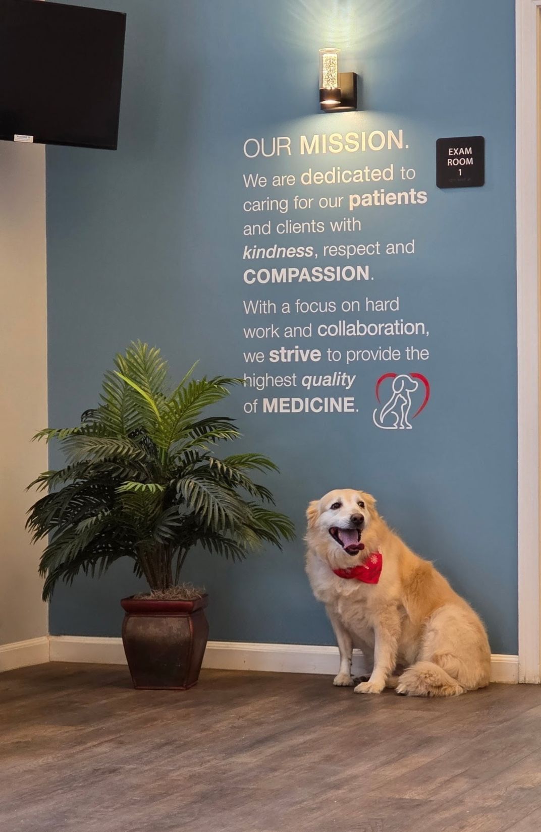 animal hospital in Lincoln