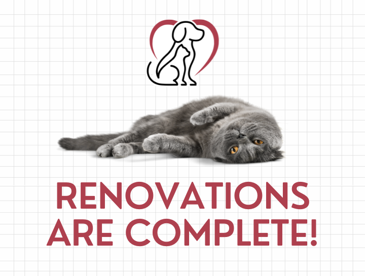 We are thrilled to announce that our renovations are complete!  
